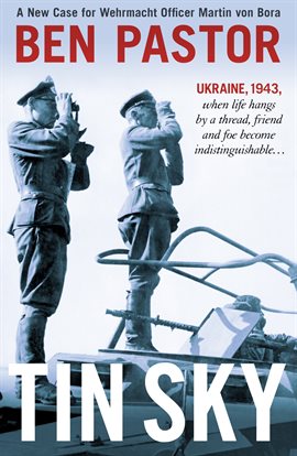 Cover image for Tin Sky