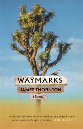 Imagen de portada para Waymarks