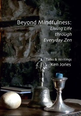 Imagen de portada para Beyond Mindfulness