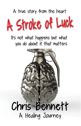 Cover image for A Stroke of Luck