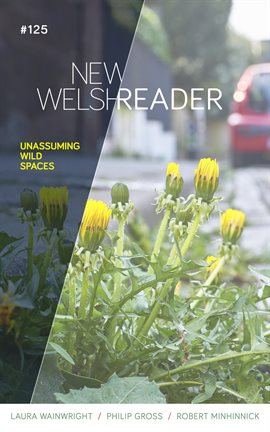 Imagen de portada para New Welsh Reader Winter 2020