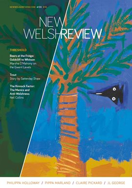 Cover image for New Welsh Review 135 (summer 2024)