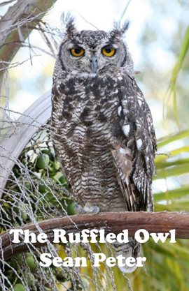 Cover image for The Ruffled Owl