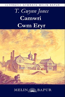 Camwri Cwm Eryr (elyfr)