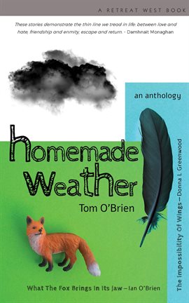Cover image for Homemade Weather