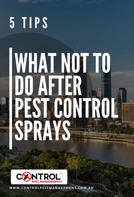 Cover image for What Not to Do After Pest Control Sprays