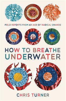 Cover image for How to Breathe Underwater