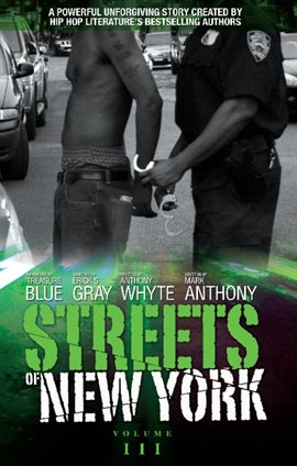 Imagen de portada para Streets of New York