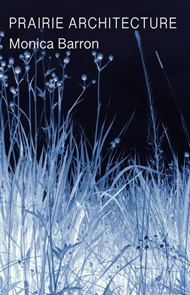 Cover image for Prairie Architecture