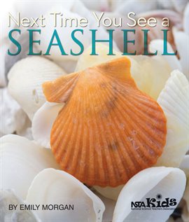 Cover image for Next Time You See a Seashell