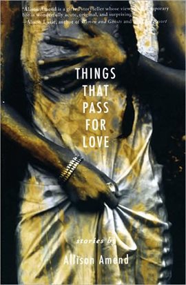 Cover image for Things That Pass for Love