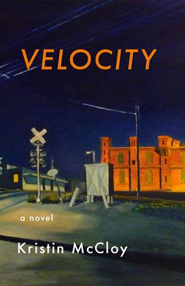 Cover image for Velocity
