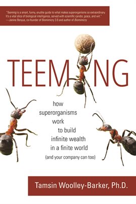 Umschlagbild für Teeming