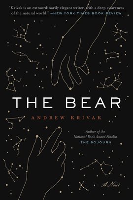 Cover image for The Bear