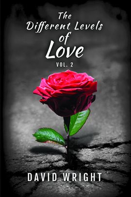 Cover image for The Different Levels of Love, Volume 2