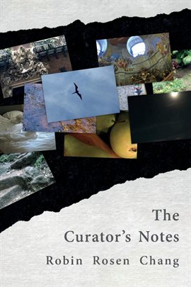 Imagen de portada para The Curator's Notes