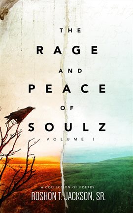 Cover image for The Rage and Peace of Soulz