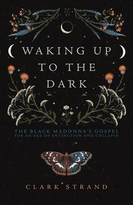 Cover image for Waking Up to the Dark