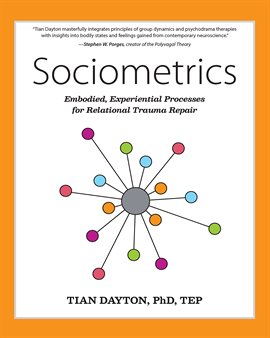 Cover image for Sociometrics
