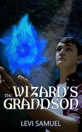 Cover image for The Wizard's Grandson