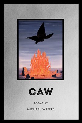 Cover image for Caw