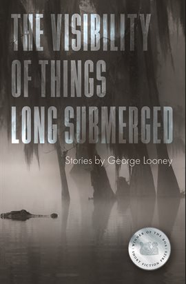 Cover image for The Visibility of Things Long Submerged