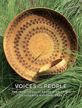 Cover image for Voices of the People
