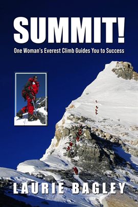 Cover image for Summit!