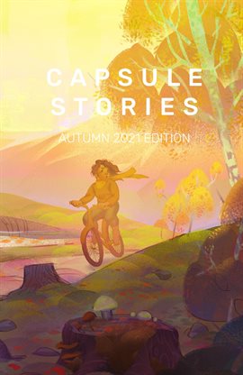 Cover image for Capsule Stories
