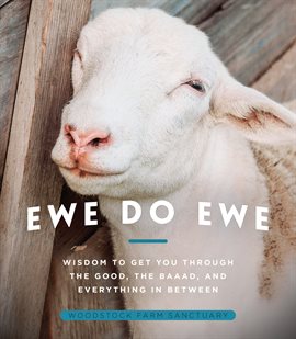 Cover image for Ewe Do Ewe