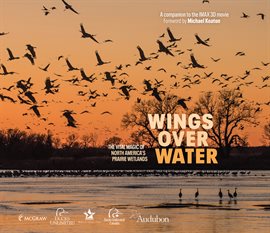 Cover image for Wings Over Water