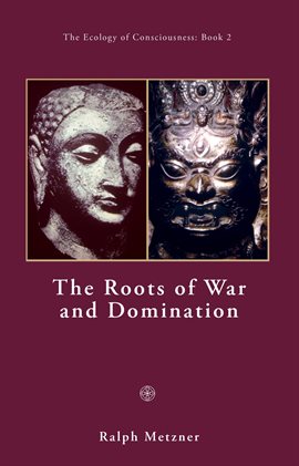 Cover image for The Roots of War and Domination