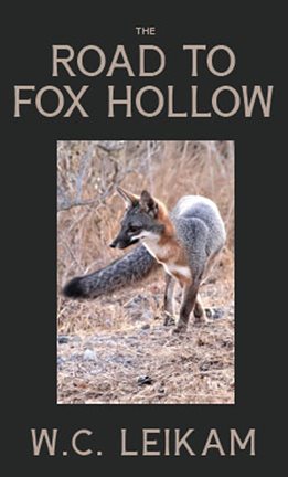 Cover image for The Road to Fox Hollow