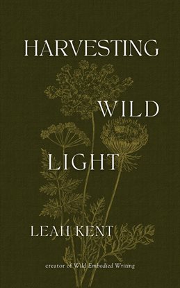 Cover image for Harvesting Wild Light