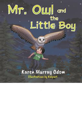 Cover image for Mr. Owl and the Little Boy