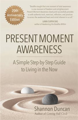 Cover image for Present Moment Awareness