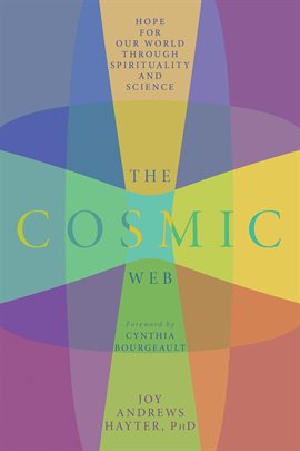 Imagen de portada para Cosmic Web
