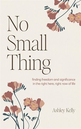 Cover image for No Small Thing