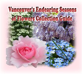 Cover image for Vancouver's Endearing Seasons of Flowers Collection Guide