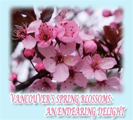 Imagen de portada para Vancouver's Spring Blossoms