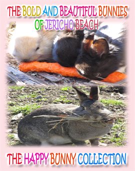 Cover image for The Bold and Beautiful Bunnies of Jericho Beach
