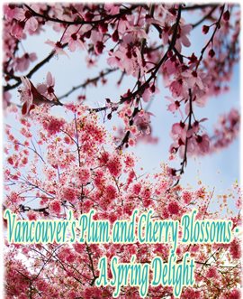 Imagen de portada para Vancouver's Plum and Cherry Blossoms
