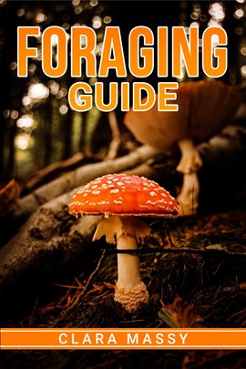 Cover image for Foraging Guide
