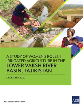 Cover image for A Study of Women's Role in Irrigated Agriculture in the Lower Vaksh River Basin, Tajikistan