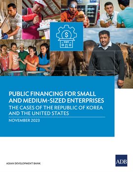 Cover image for Public Financing for Small and Medium-Sized Enterprises