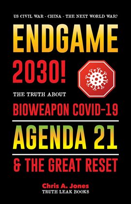 Cover image for Endgame 2030!