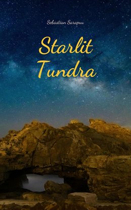 Cover image for Starlit Tundra