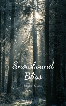 Cover image for Snowbound Bliss