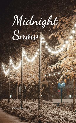 Cover image for Midnight Snow