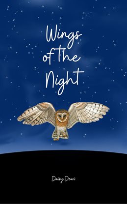 Cover image for Wings of the Night